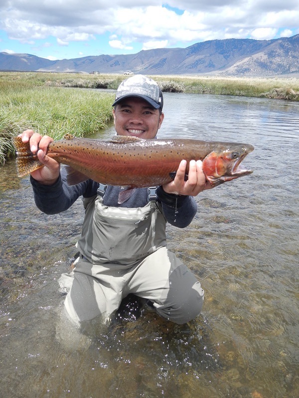 eastern sierra waters we fly fish and guide on