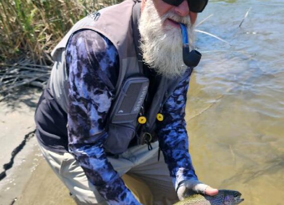 Lower Owens river rainbow trout caught on a fly