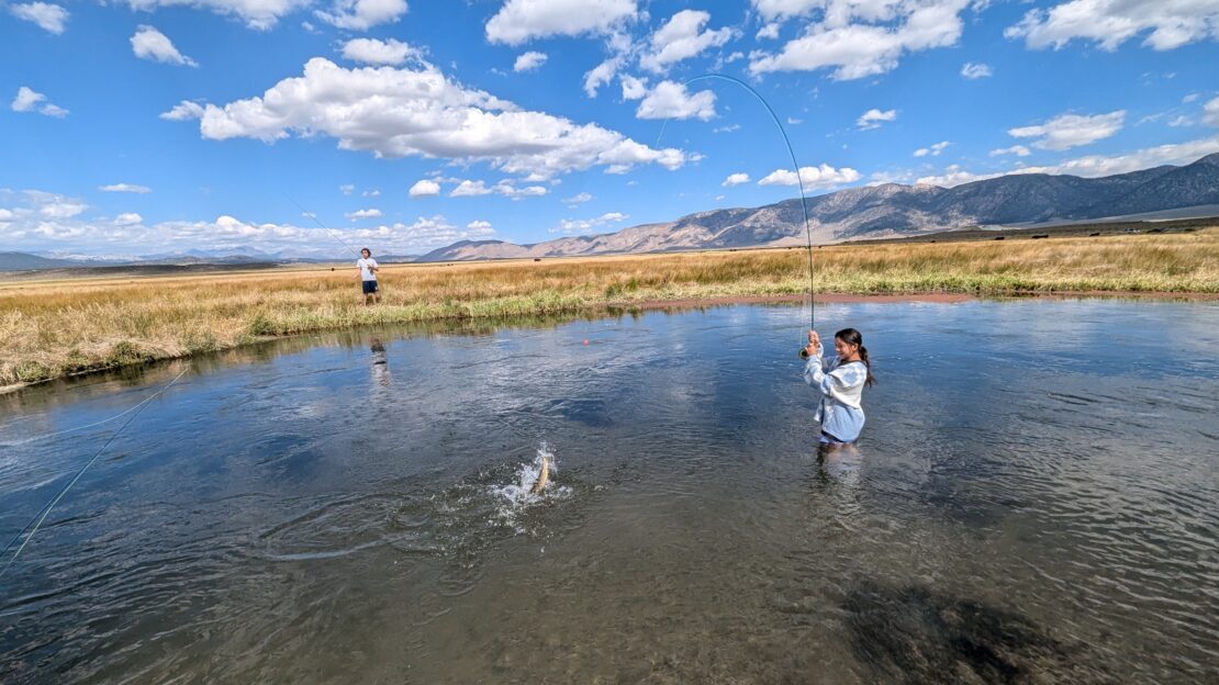 young angler lands a trout on the upper owens river